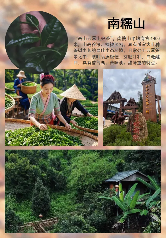 ac176026c0790112a4b83d2872b0db95-sz_1401929