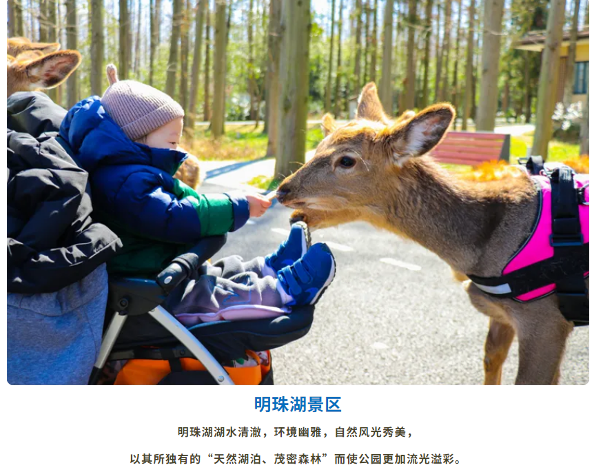 ac1ddc6b4a883eab1ef69cbce8f334e0