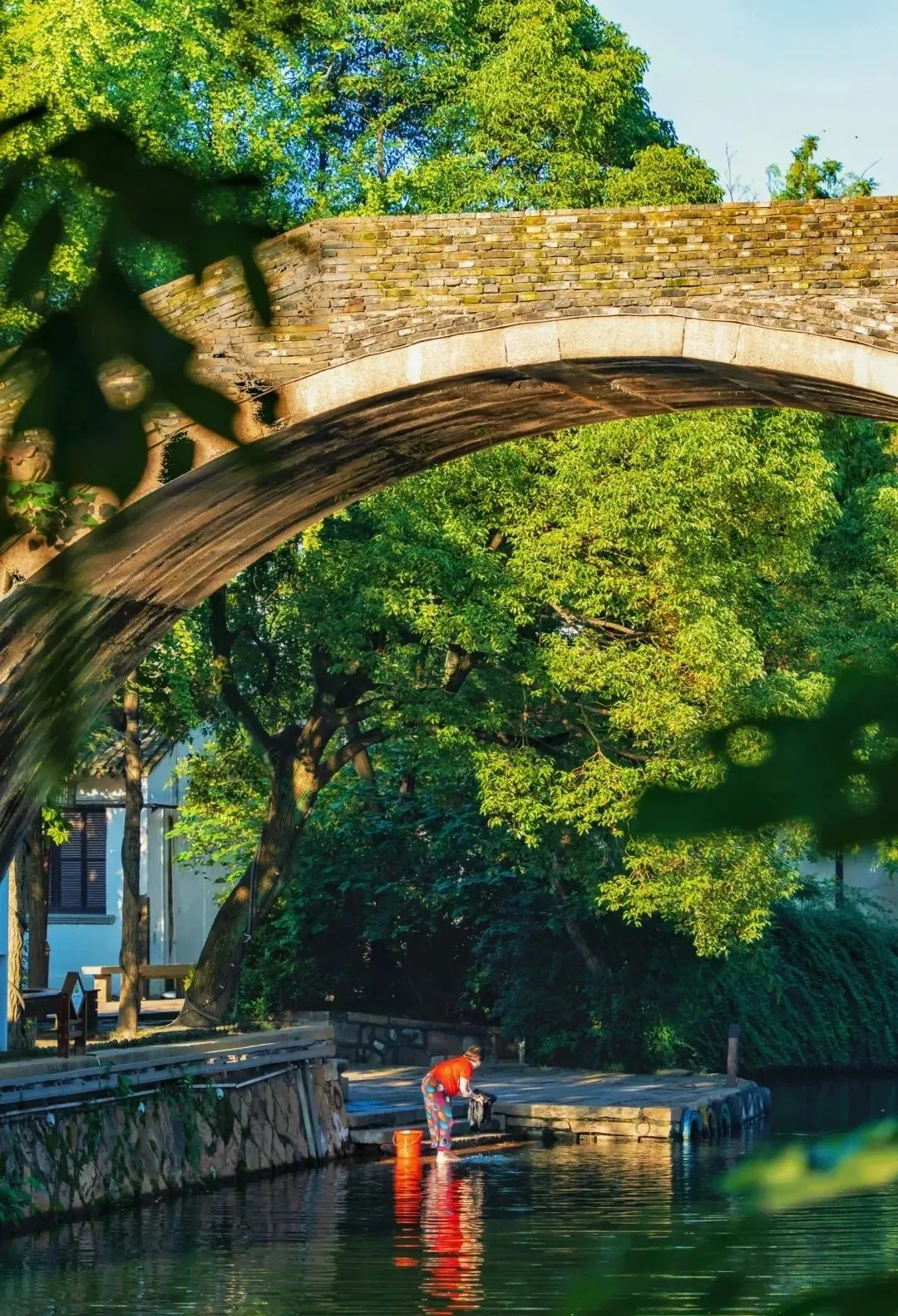 ac2070a35149dc215f07fafb08dd522a-sz_460499