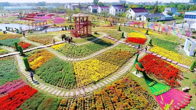 ad1e562f0ad6e4ce35662e0b0b2639d5-sz_1753319 ad1e562f0ad6e4ce35662e0b0b2639d5-sz_1753319