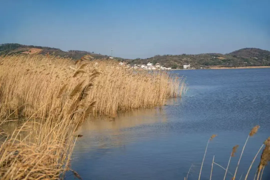 ad32b3f486672a35e586b1ffce1552b5-sz_818627 ad32b3f486672a35e586b1ffce1552b5-sz_818627