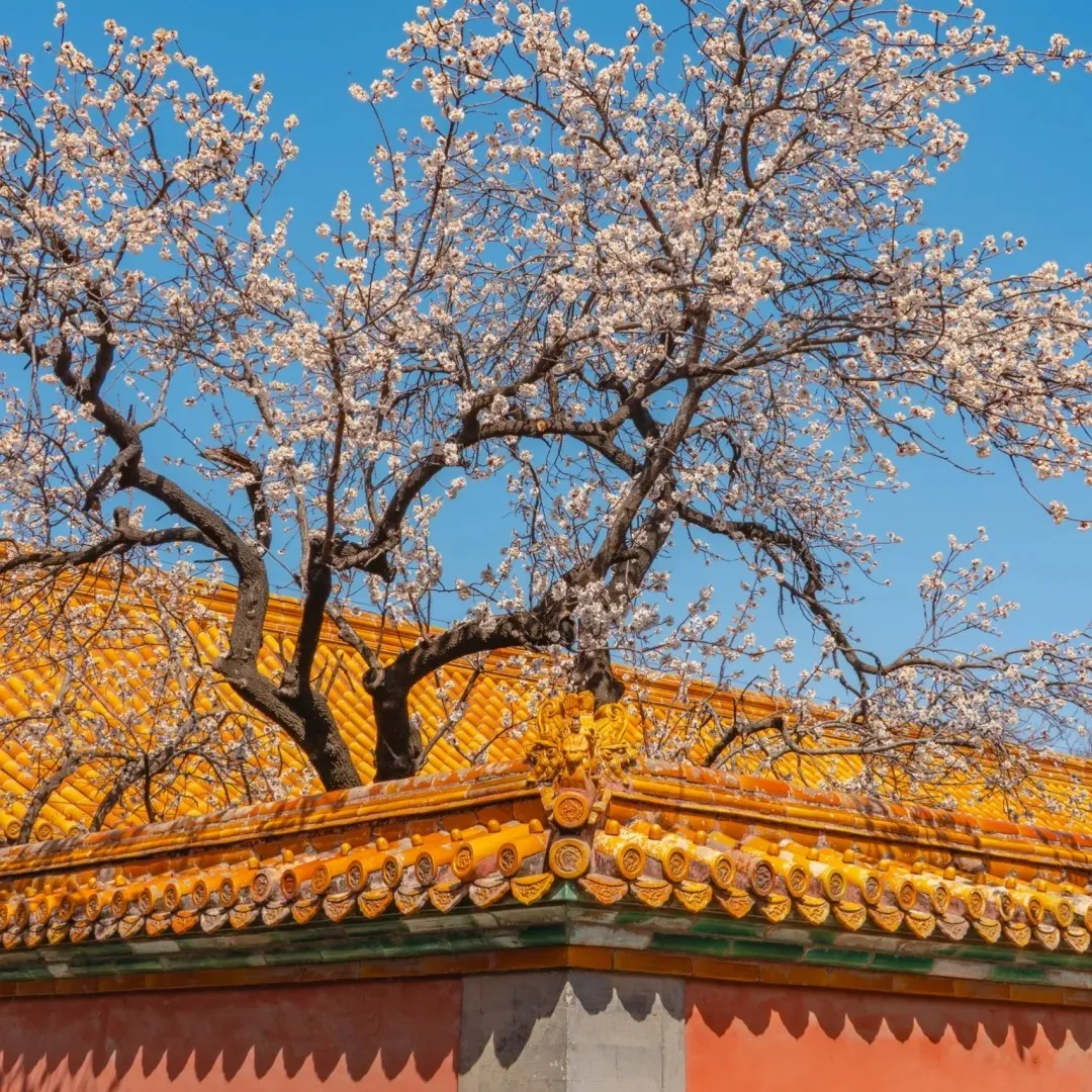 ad5d086c46bb8f6ff23600767f1f42e7-sz_575959