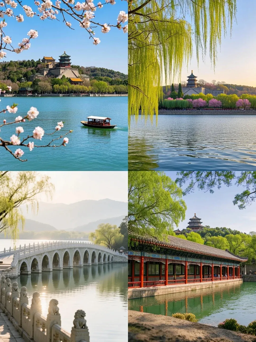 ad5e33d34b0c4cc01d62b5103c111cce-sz_518304