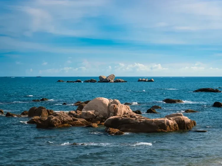 ad6e302722ffb2695c27dfb8f17a9a24-sz_1635440