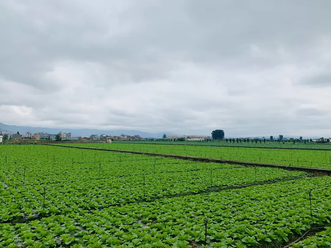 ad7a7f0ed6eb9b3773127a337b30da7a-sz_1119845