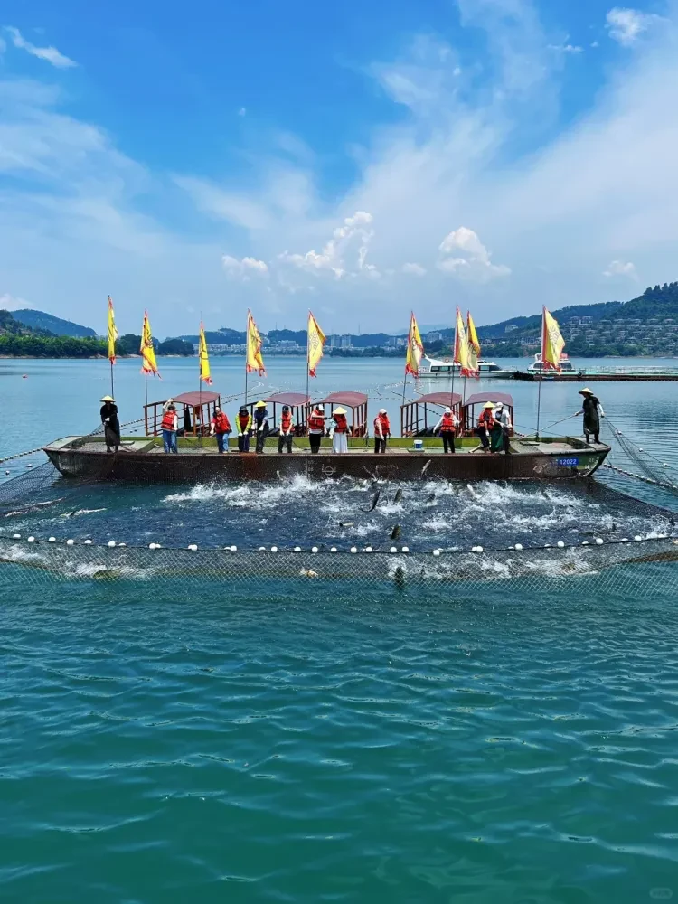 add1fc9dc5158035074c02dc36c629a4-sz_2712147