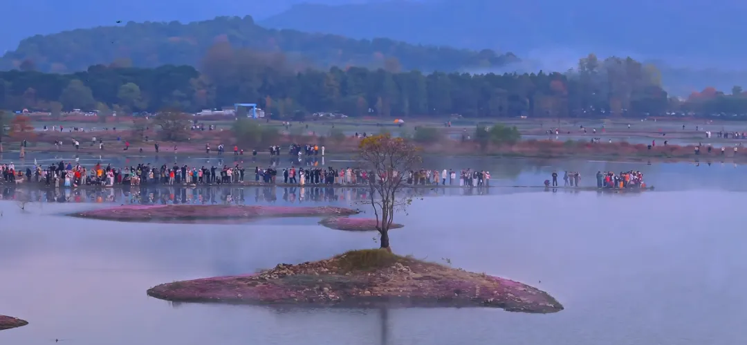 adff9af65e84966a46f6bc994aea9187-sz_241850 adff9af65e84966a46f6bc994aea9187-sz_241850