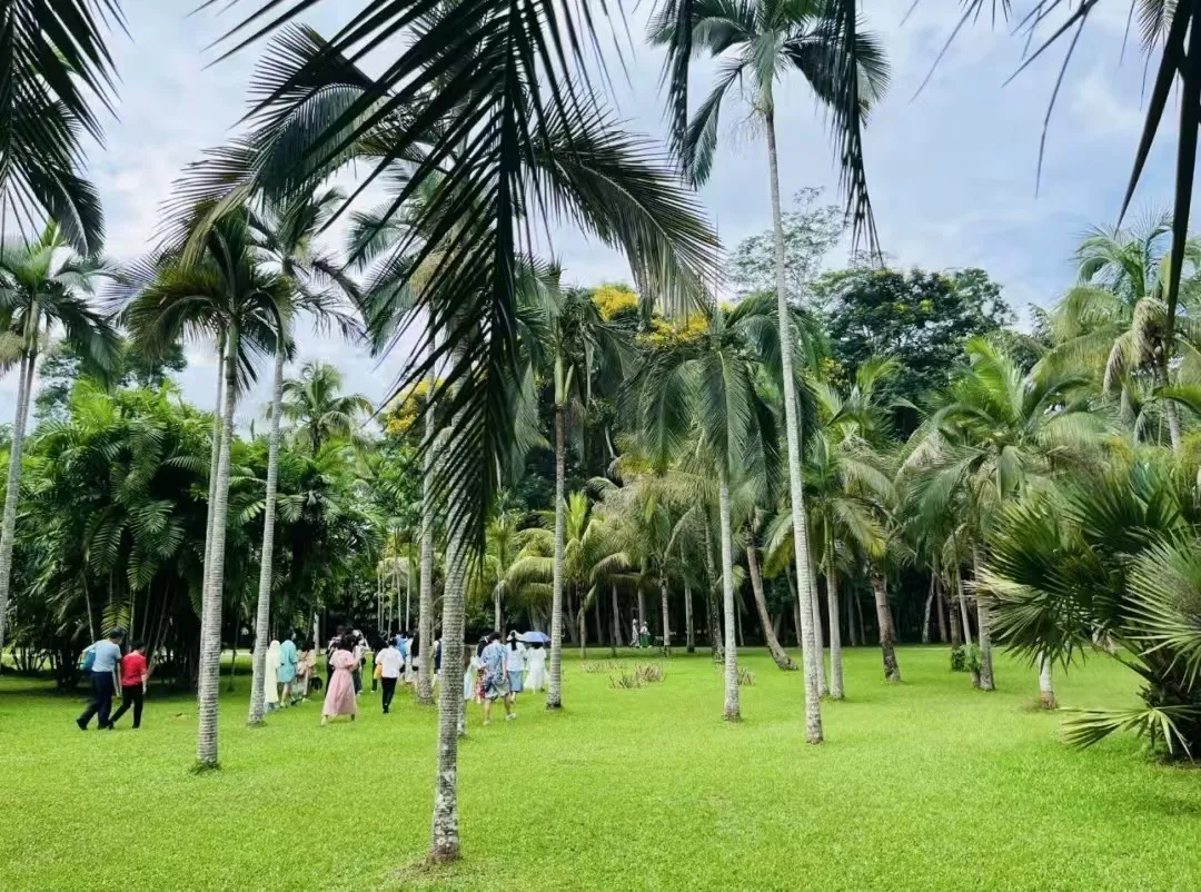 ae03ae1f1ce62ccdd27215973efdfcbe-sz_361041