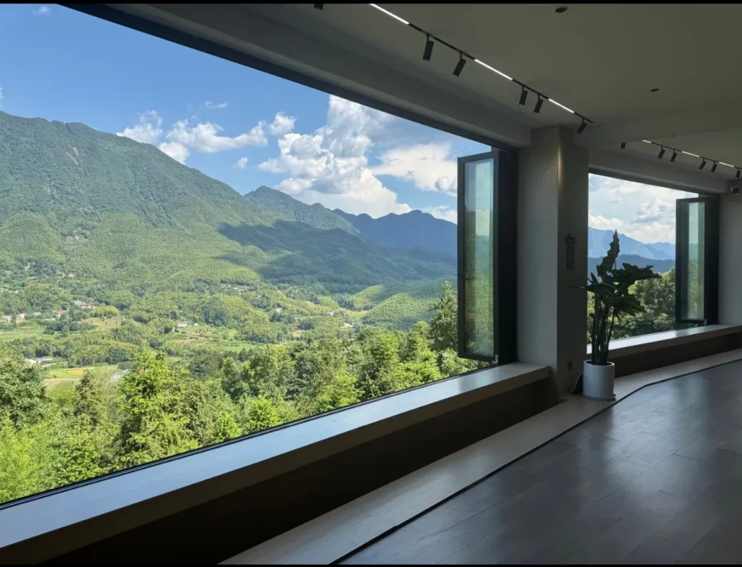 ae06b8f41198090af9f68fcee9321cdb-sz_1028358