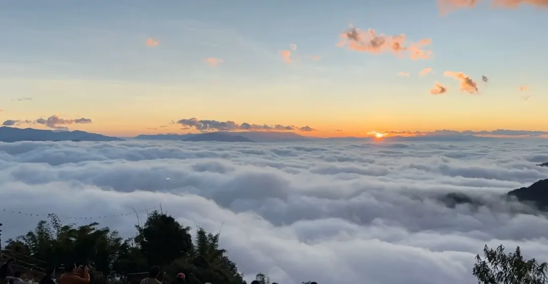 ae20d2dce030ba629dec9488de4f889b-sz_1336724