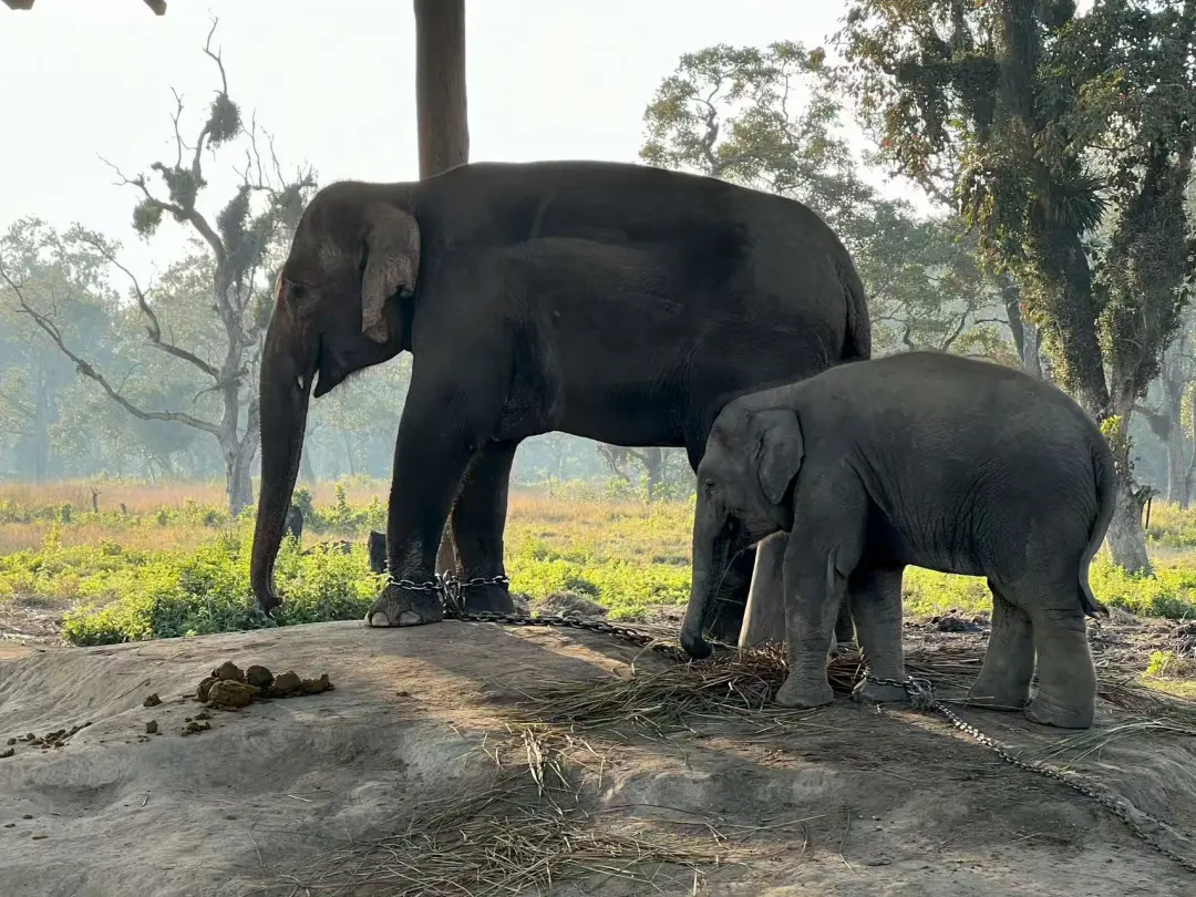 ae2c5a88755be2016584956b8afd632e-sz_435512