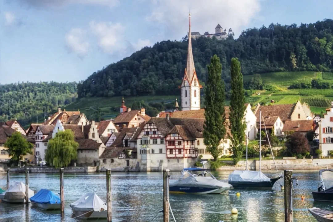 ae610949e3149616a31289c078eb049d-sz_2905665