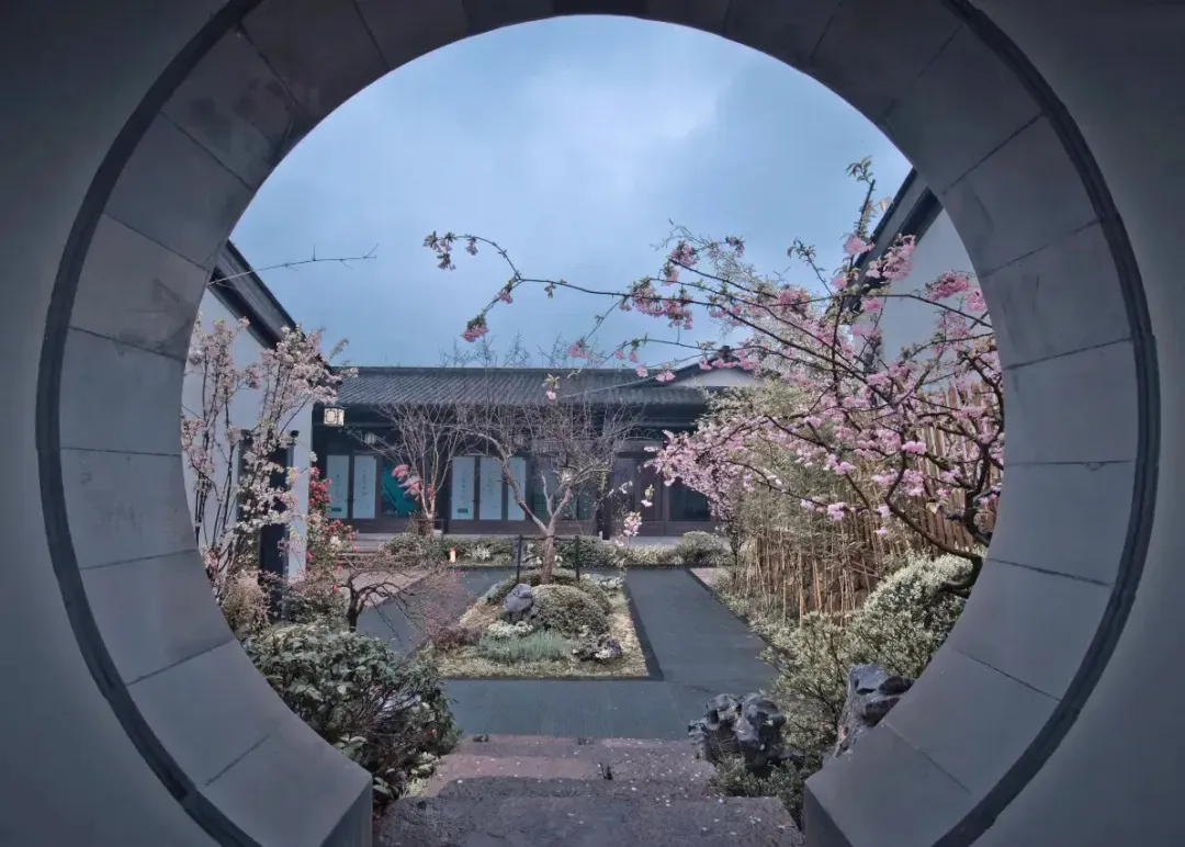 ae98d3b83b7d41784506dd3737da3749-sz_490742