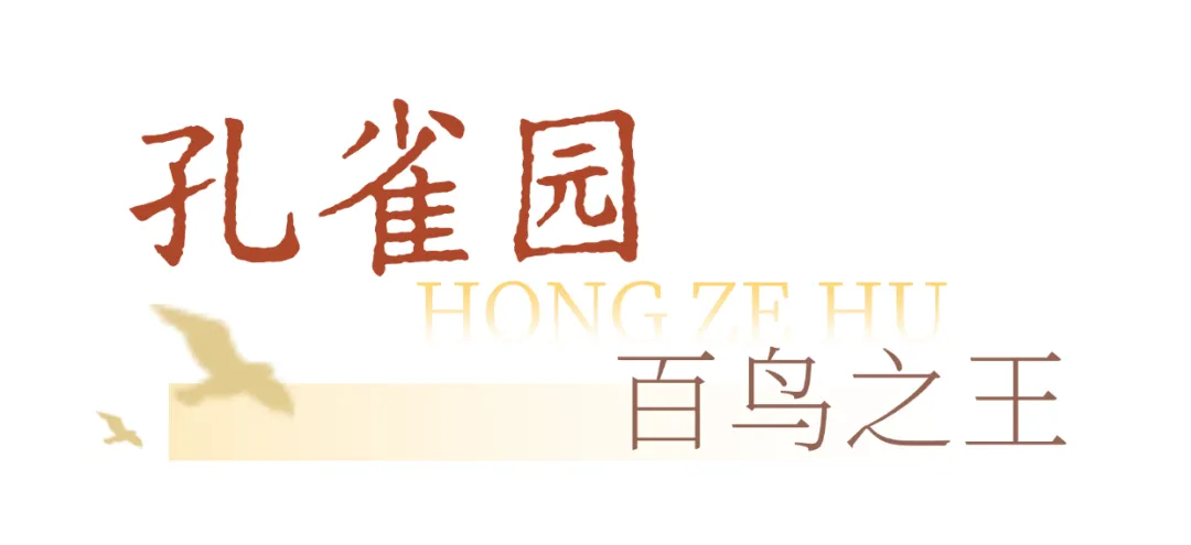 aeb4680319e1b1c0f5a743ad38c70bad-sz_74733