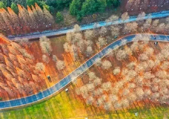 aeb492c3db364c9ef4ac3d871c0c2b1f-sz_100051 aeb492c3db364c9ef4ac3d871c0c2b1f-sz_100051