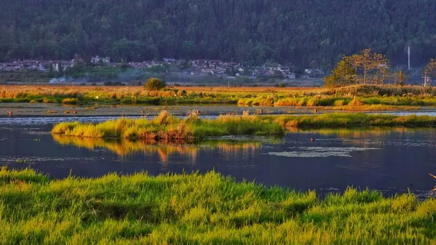 aed25a5221f7b1f770584a623e2a9f5c-sz_89340