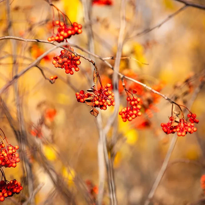 aed383866761c990ec8f88d43724e88d_sz-609491-2 aed383866761c990ec8f88d43724e88d_sz-609491-2