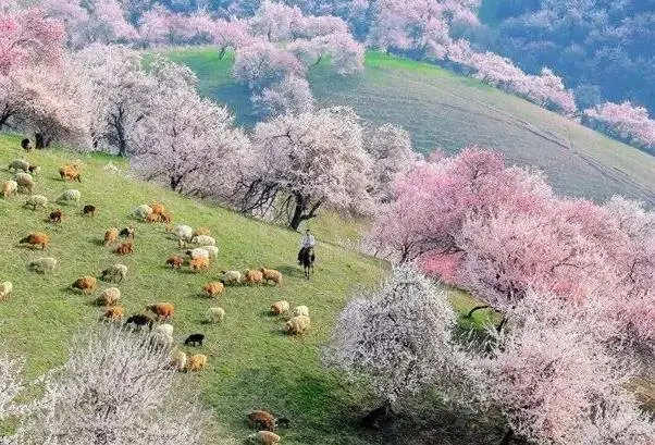 aee4a6e62d735ca6bfc4b2ec8858dd17-sz_80556 aee4a6e62d735ca6bfc4b2ec8858dd17-sz_80556