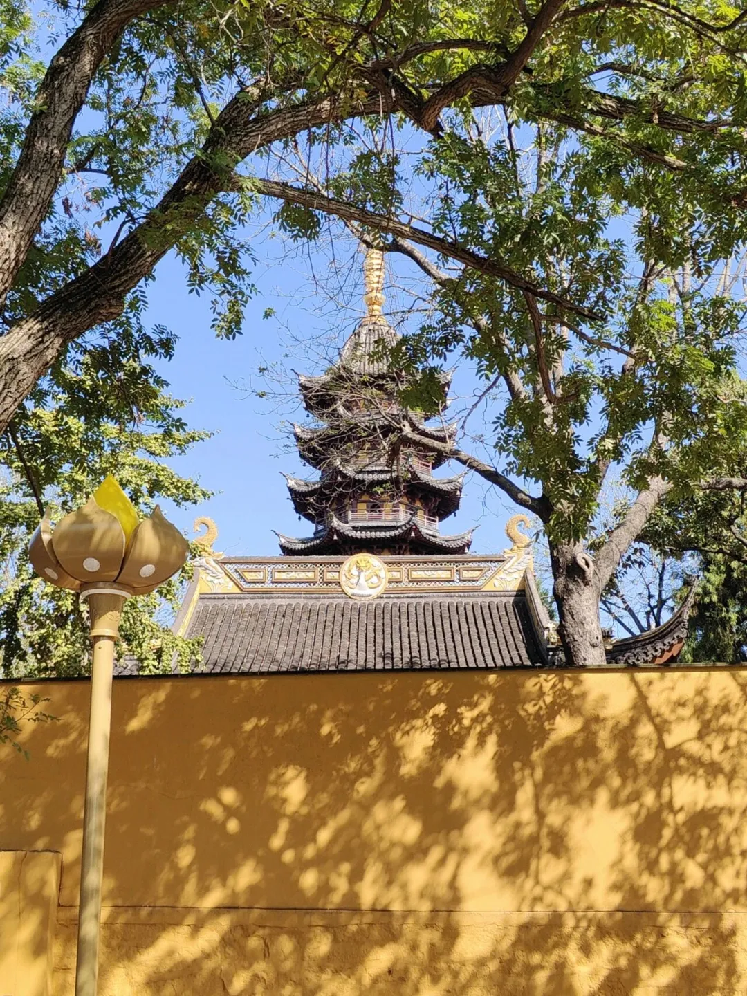 af326b15a30ccdd57f86545d8f7821a9-sz_625027