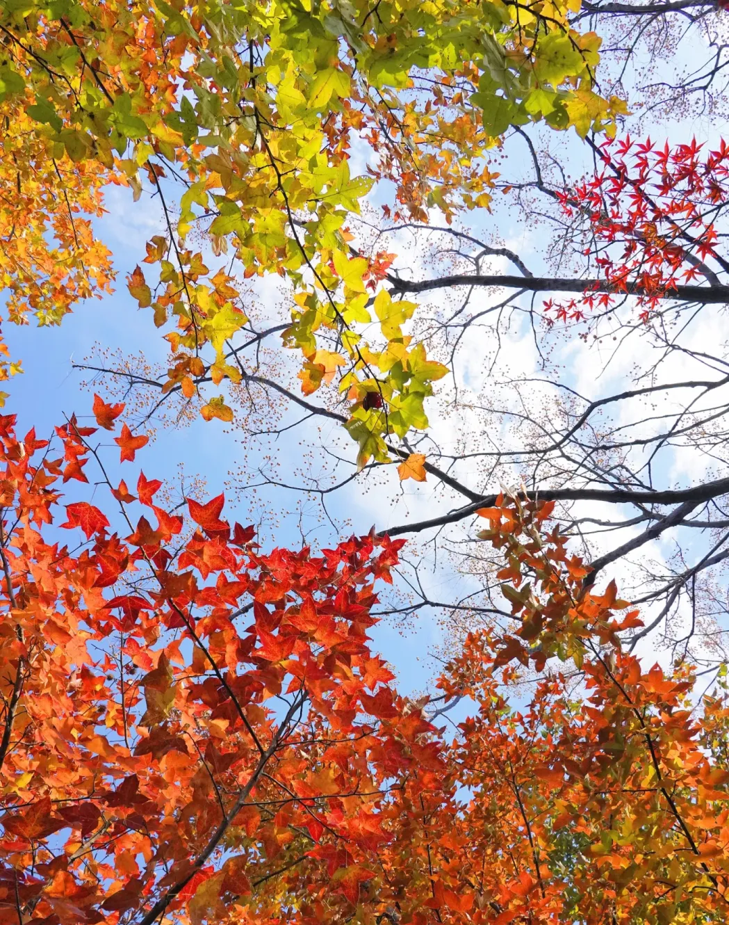 af4ad76642c0f110bebc47bd683e7dd9-sz_2722911