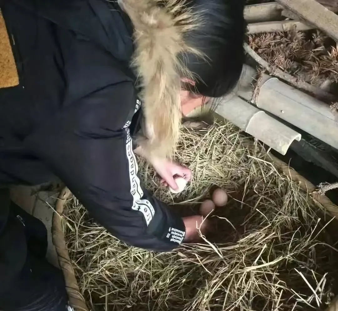 af541fa777ce13470c4b4dfaa3931633-sz_185536-2