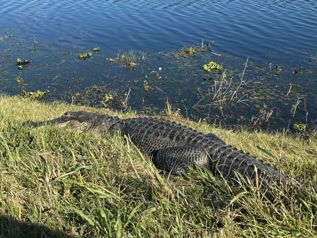 af5b7f49dc11d267f9e52ed52867baf9-sz_652346