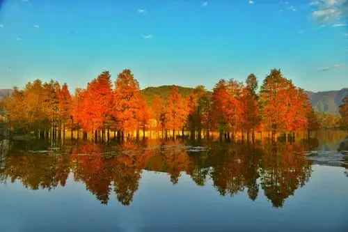 af9f98f14456118b6782a3574b2e996b-sz_26106-1