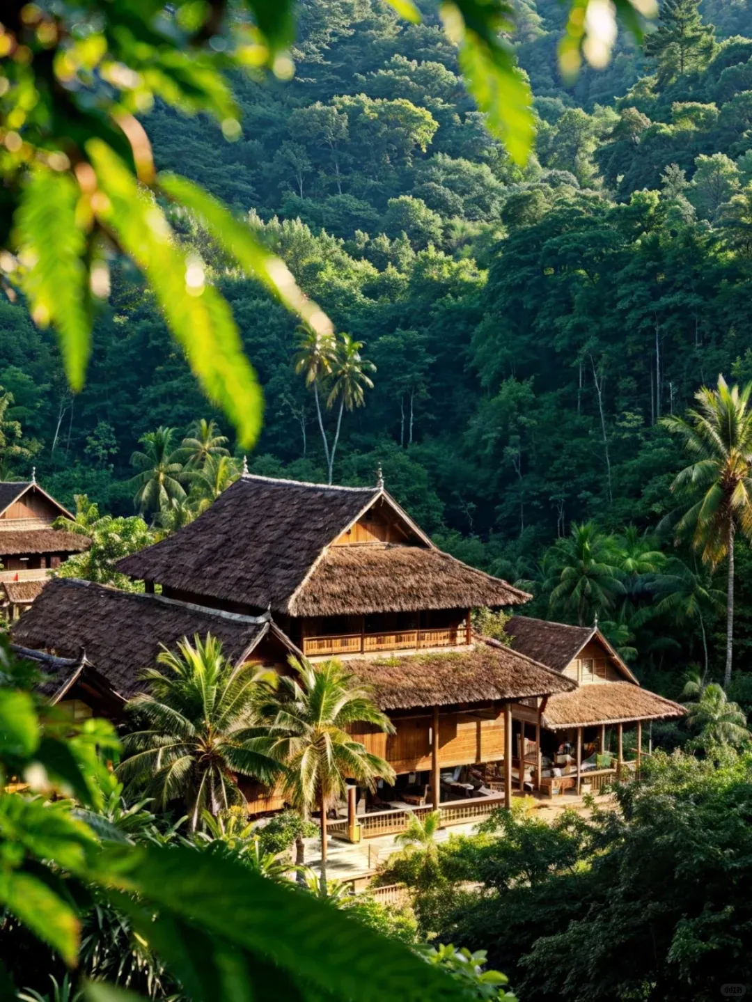 afd2a930c8e07782329afa82b83df7d2-sz_493057