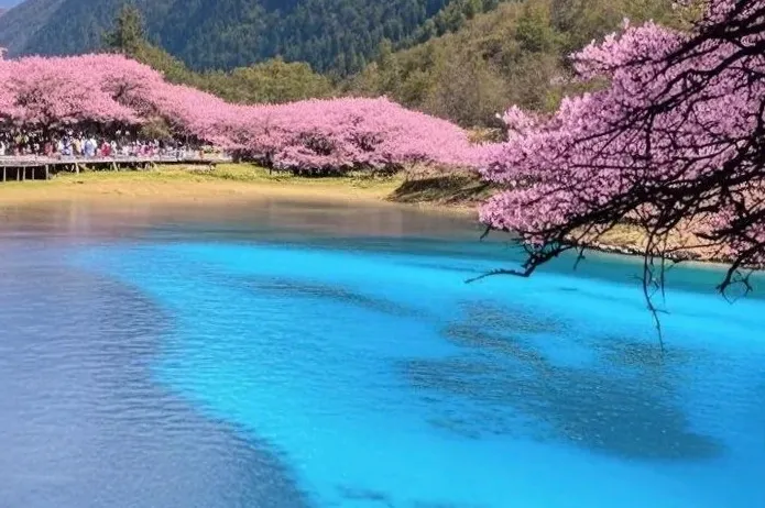 【疯狂九寨】¥888元/人起，成都•九寨沟•黄龙•都江堰•熊猫乐园•阆中古城双飞6日游，秘境狂欢，打卡春日天堂美景！