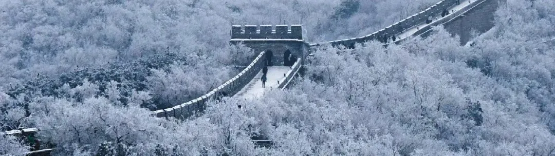 b005df9a867d531ce80d5e0f5a6be204-sz_533731-15 b005df9a867d531ce80d5e0f5a6be204-sz_533731-15