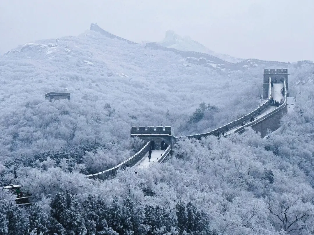 b005df9a867d531ce80d5e0f5a6be204-sz_533731-19