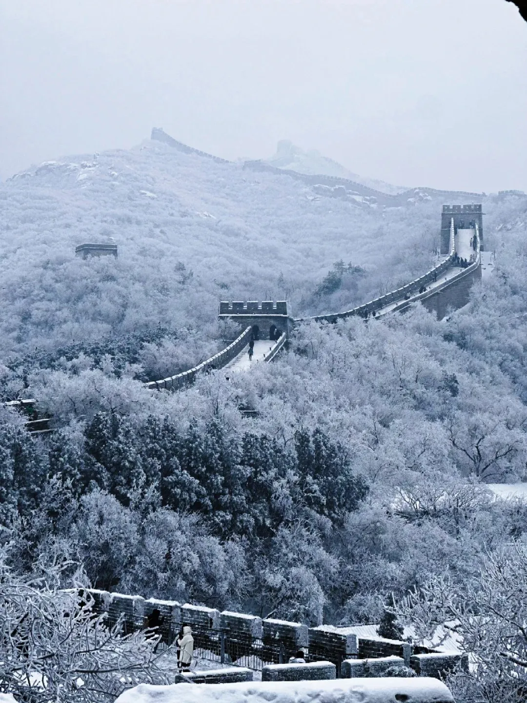 b005df9a867d531ce80d5e0f5a6be204-sz_533731-20