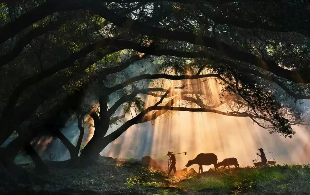 b064c3552bf34a6c8ee73773fefaa004-sz_1075679 b064c3552bf34a6c8ee73773fefaa004-sz_1075679