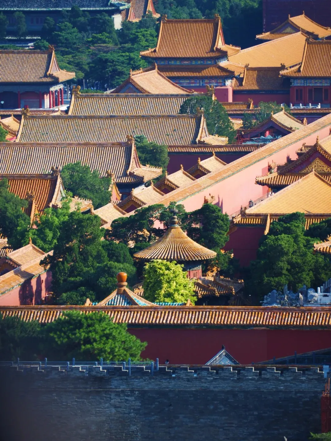 b084bb1bead35d3e45c48cafc8cf7566-sz_517611