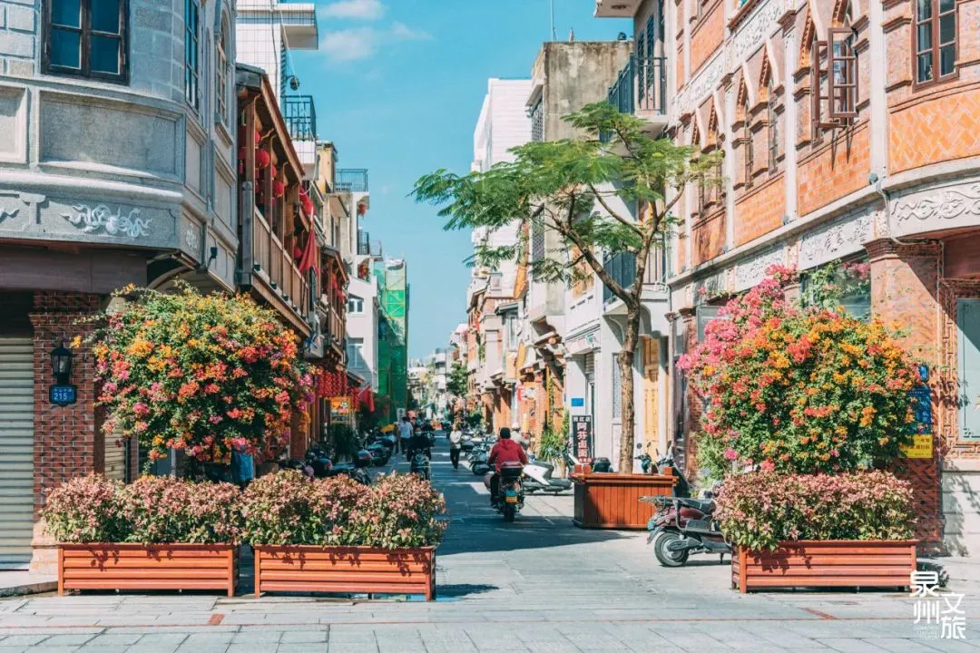 b0acae912db9fbff9e3c1e9679de032d-sz_220456