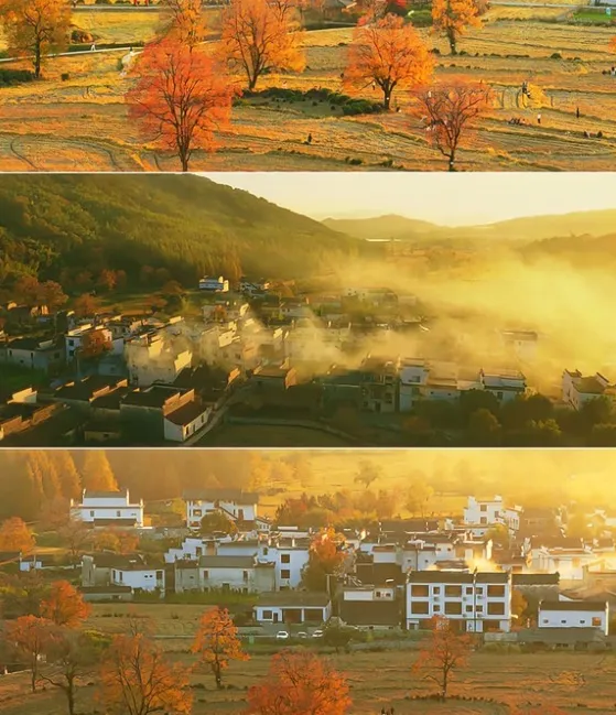 b0e2aa8274c59f270824c9fb4ea94968-sz_128905 b0e2aa8274c59f270824c9fb4ea94968-sz_128905