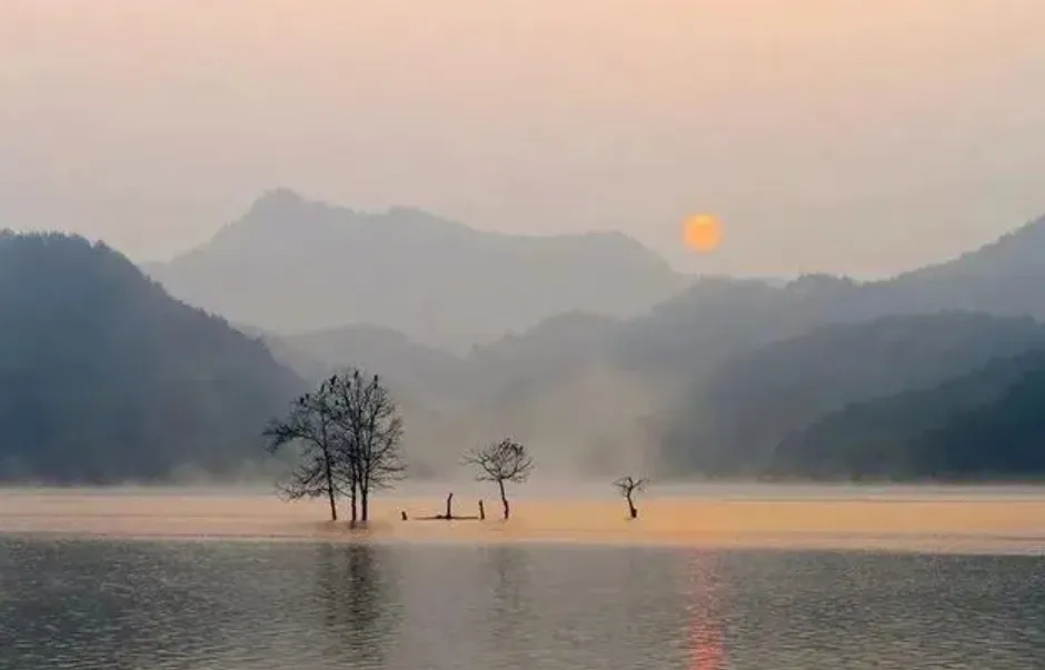 b0f2db9eb5aa757cca82c4cca5f16bf7-sz_175851