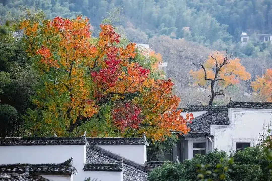 b0fcacf36a5a0e90fbfe0524cb43a0ff-sz_192713 b0fcacf36a5a0e90fbfe0524cb43a0ff-sz_192713