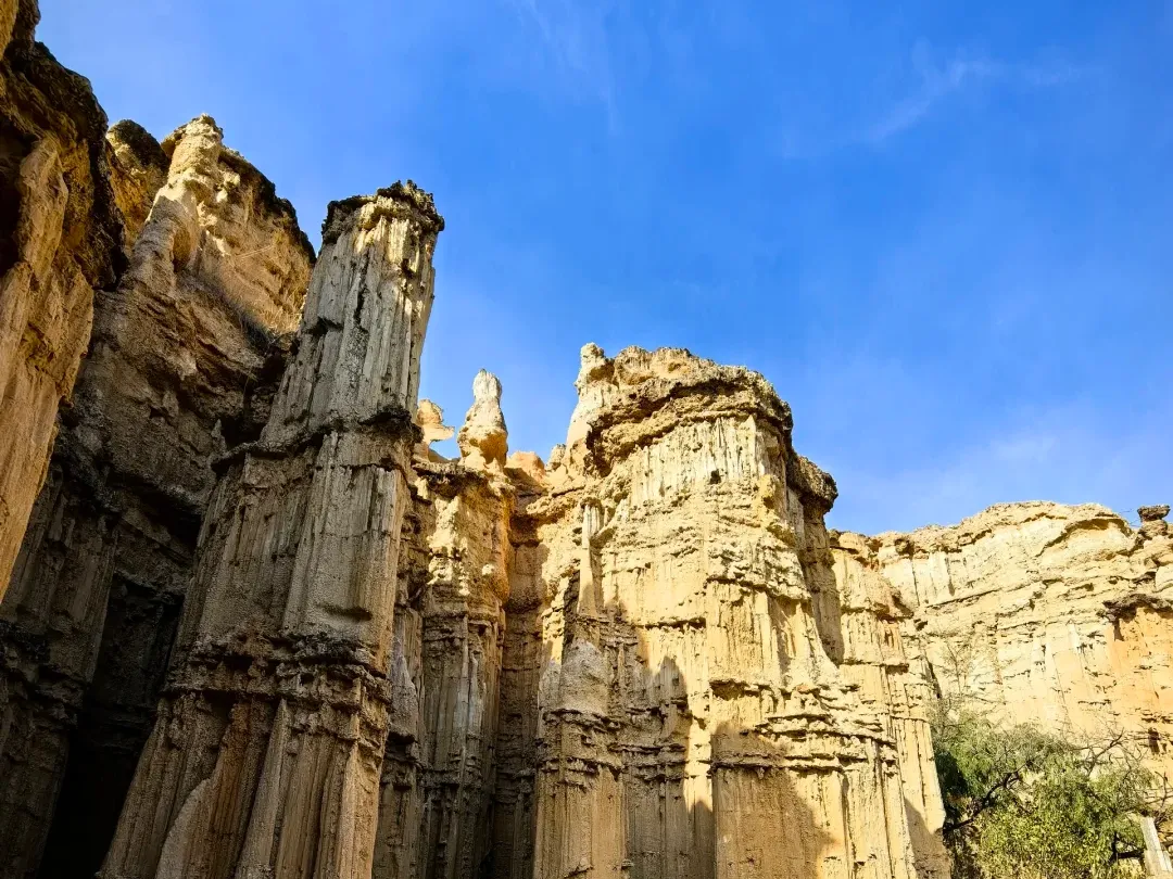 b1190f3c092d83c7dd75e601c0edb4d7-sz_2890844