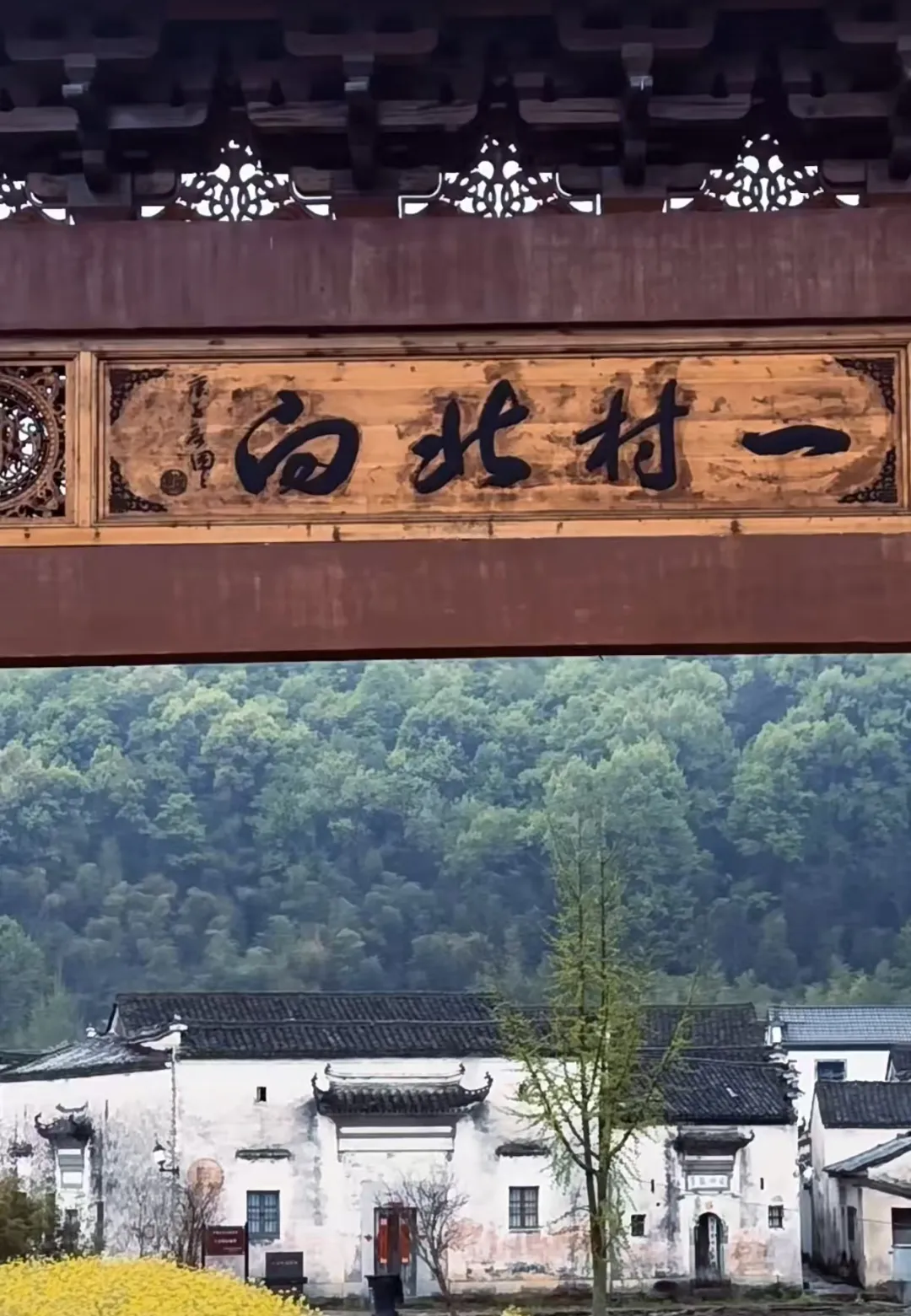 b15a6dd5fc20f5900d8d360912f56d6f-sz_1497255-2