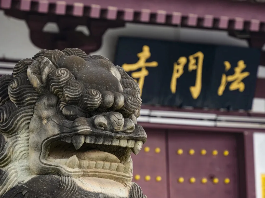 b16570c724a6f26ffb4d9641d207f0c1-sz_823192