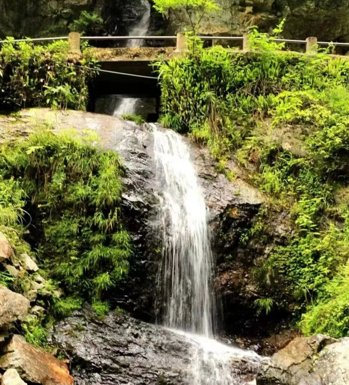 b18af8176d4c45a050a9274b52c3e03a