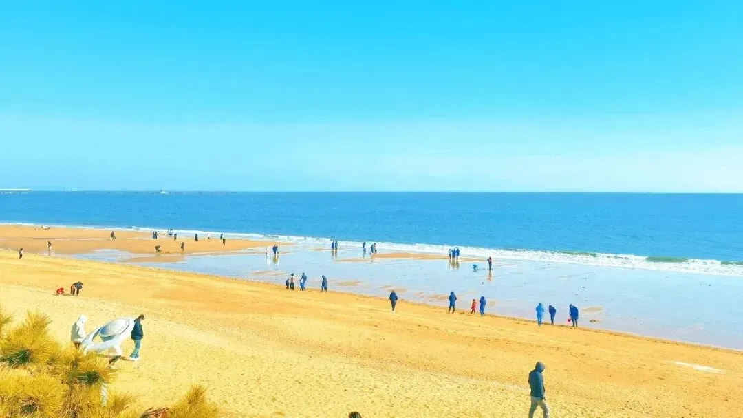 b1b1b3815dcb9394d0a2cd8b32344c40-sz_71520