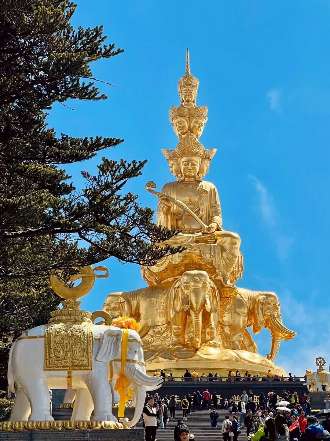 b1d49b269ee435205f11368494475f64-sz_2772780 b1d49b269ee435205f11368494475f64-sz_2772780