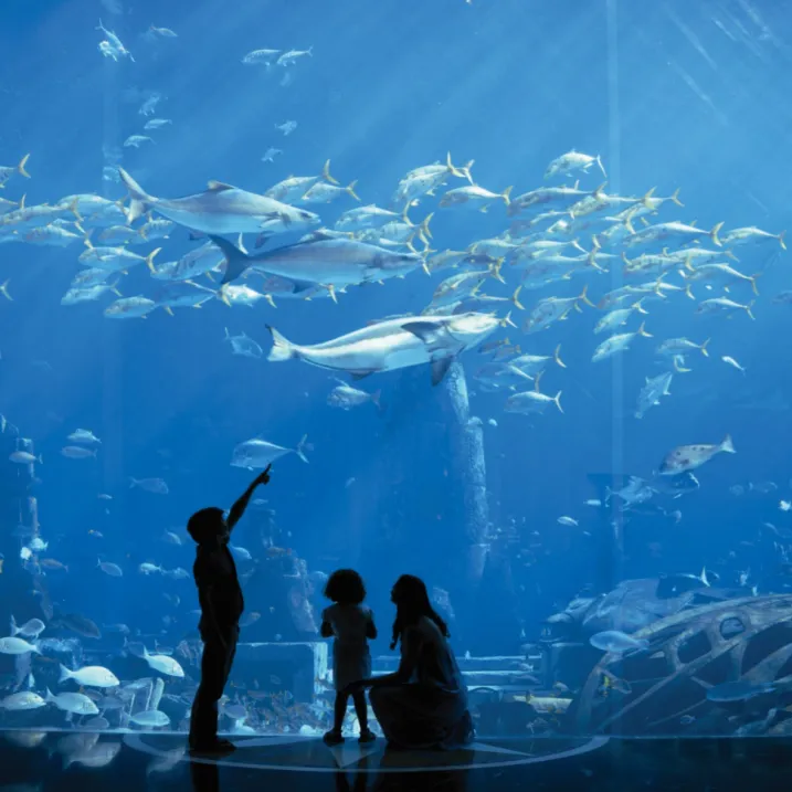 b1d86813a70f3c50fb645148b6f16018-sz_2610326 b1d86813a70f3c50fb645148b6f16018-sz_2610326