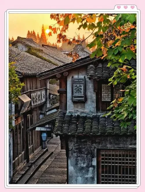 b1eab53aa9c43487c7f4da112be2d832-sz_82484