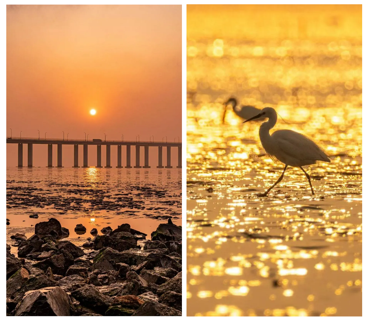 b22319dbf86f16d919bde5f66e936d5a b22319dbf86f16d919bde5f66e936d5a