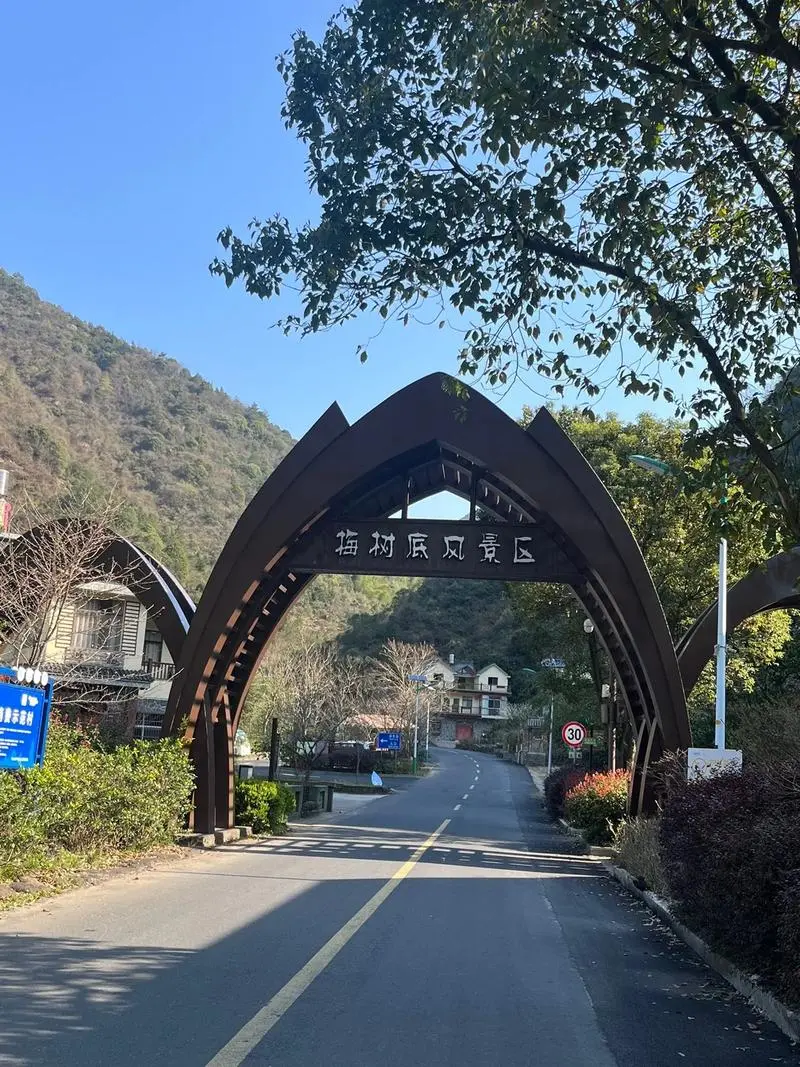 b2502c52594f85fd41c593a4df20876d-sz_212808-1 b2502c52594f85fd41c593a4df20876d-sz_212808-1