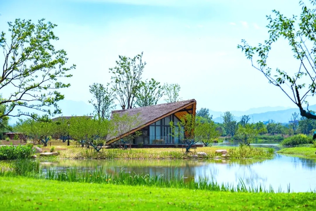 b2627ff227d8f8106c55a3345a0812f8-sz_180187 b2627ff227d8f8106c55a3345a0812f8-sz_180187