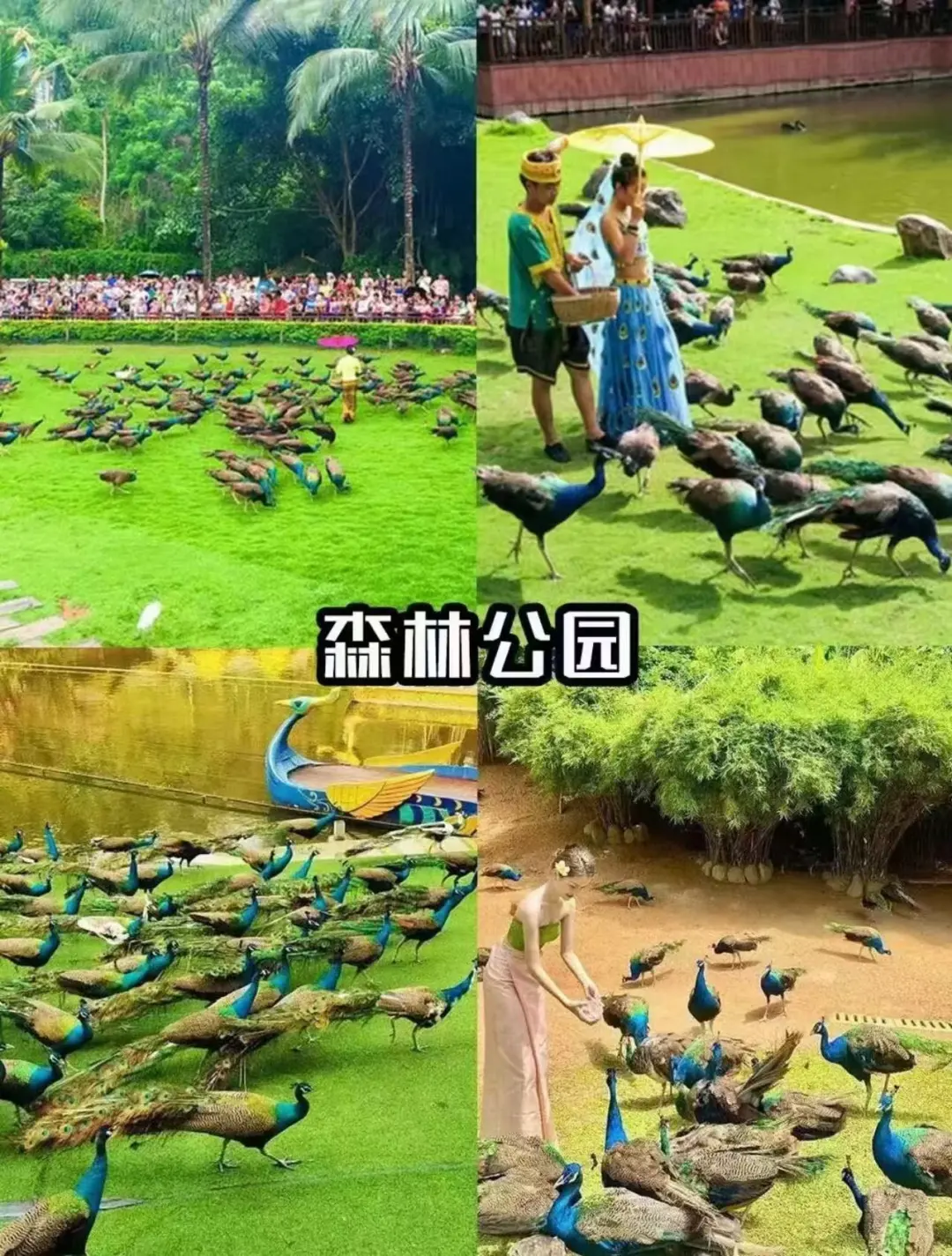 b286c7704b53d51987bc5cc055286c98-sz_410174 b286c7704b53d51987bc5cc055286c98-sz_410174